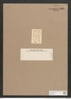 Navicula iridis var. affinis (Ehr.) V.H. (de-Toni-Nr.: Genus 1, Species 552) Zeichnungen Sammlung Grunow Nr. 1092 (NHMW-BOT-W0367653)